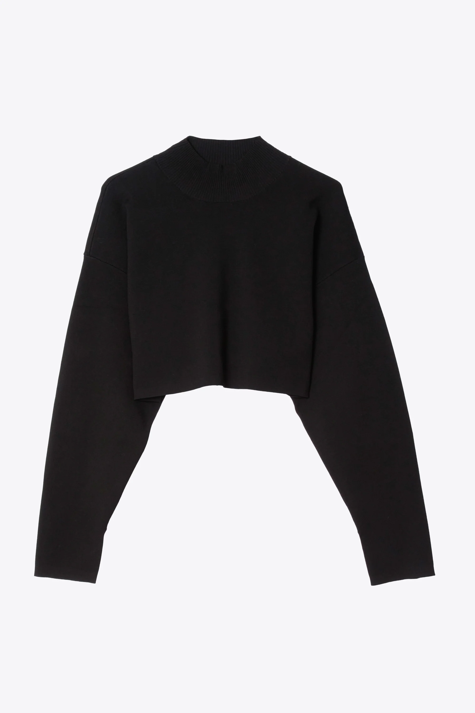 Compact Rib Cropped Turtle Neck - Image 12