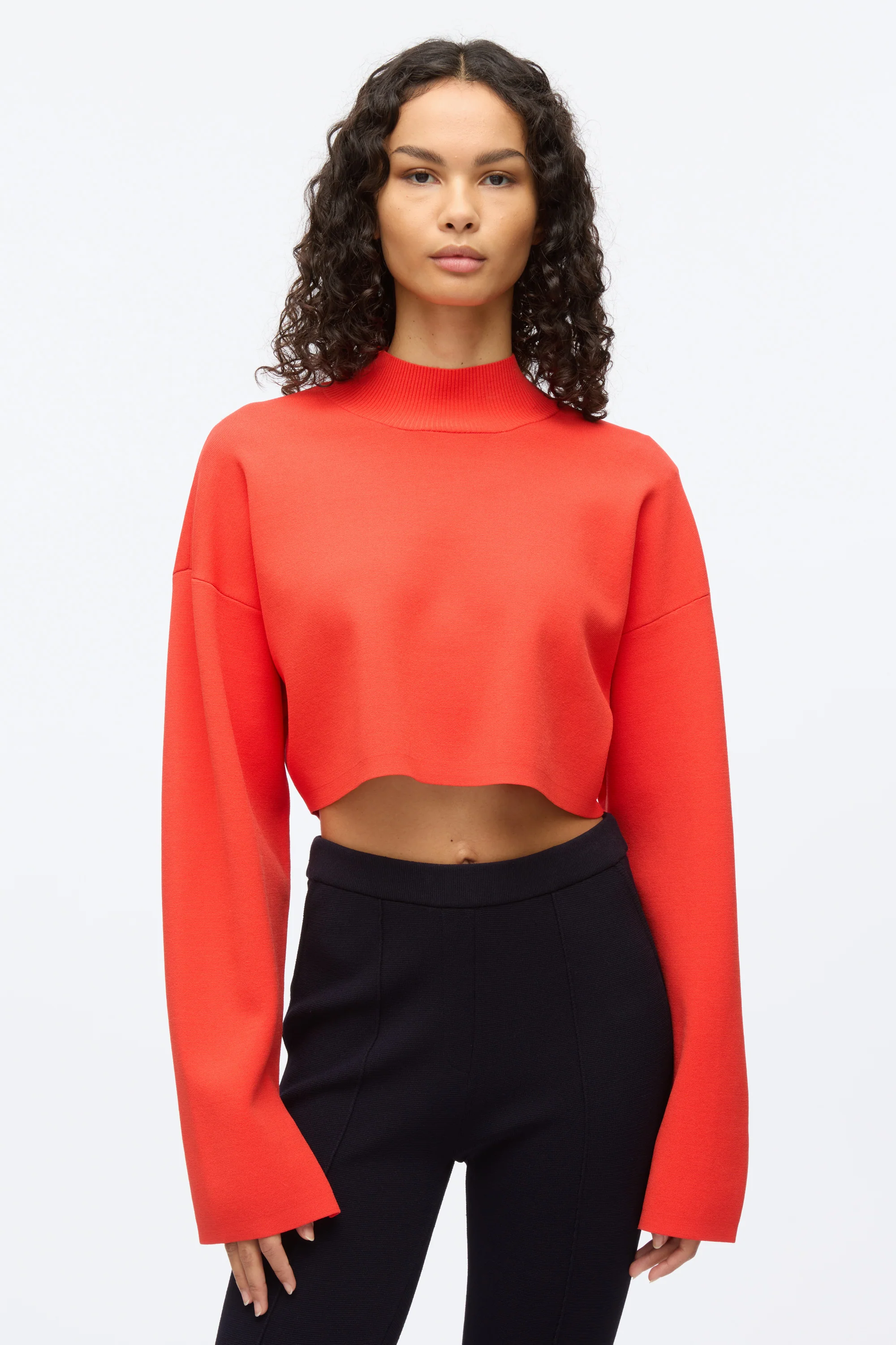 Compact Rib Cropped Turtle Neck - Image 3