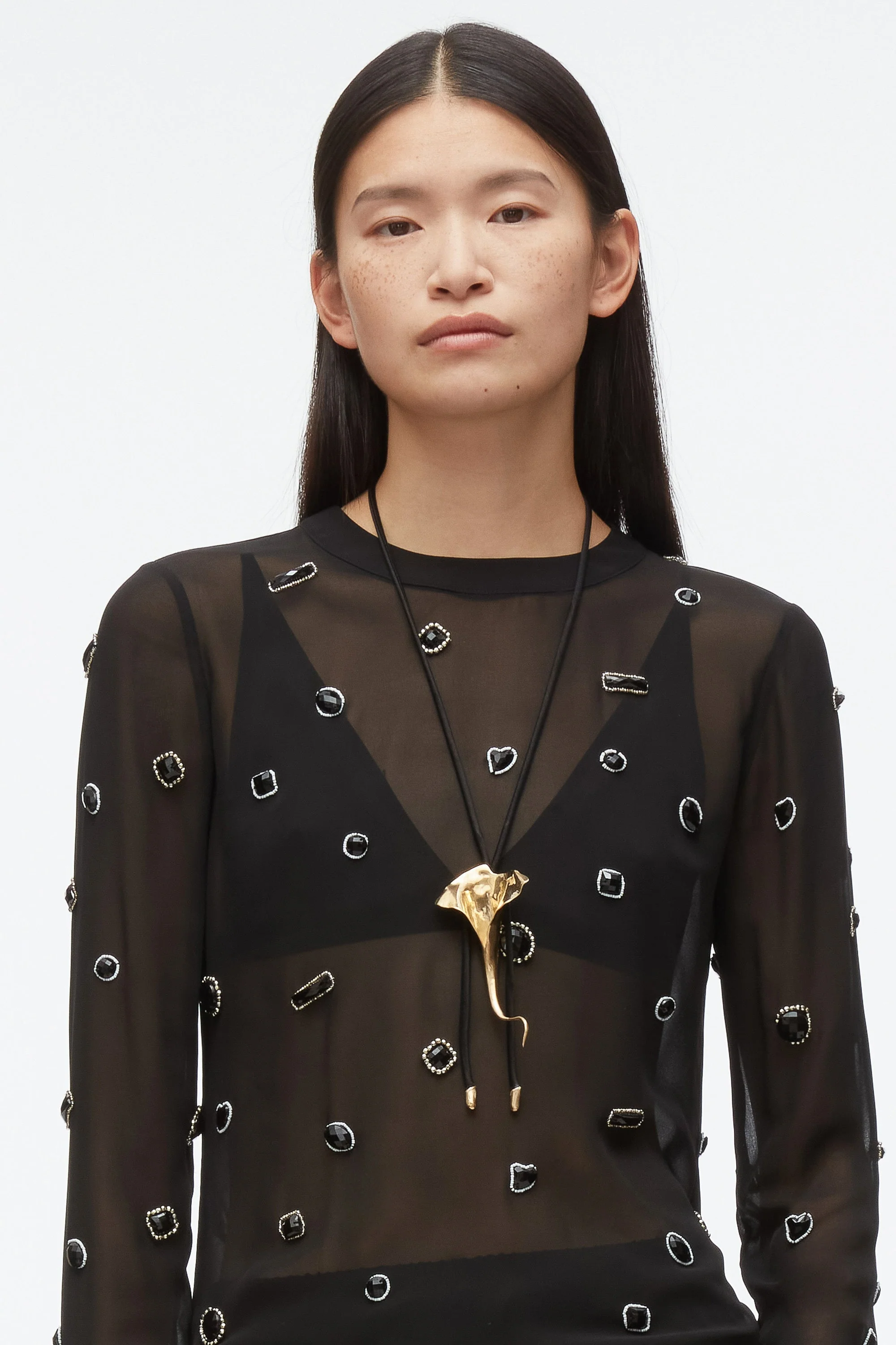 Halo Embroidered Chiffon Long Sleeve Top - Image 4