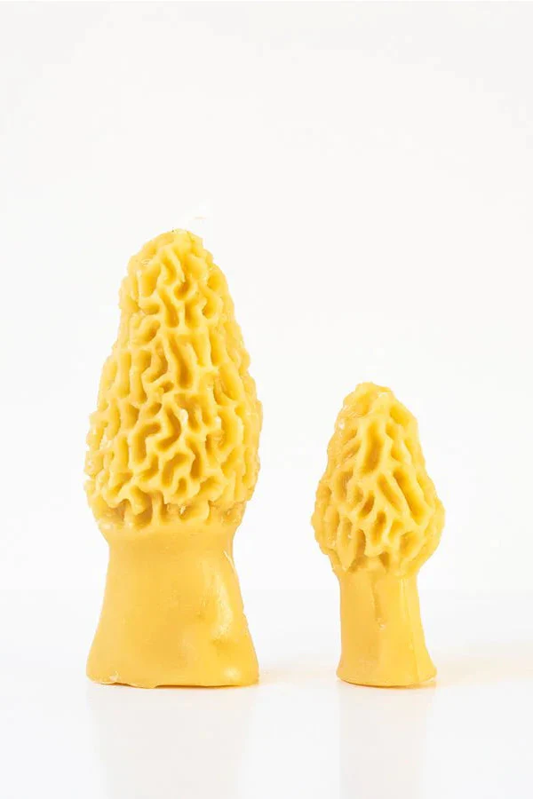 Morel Mushroom Beeswax Candle