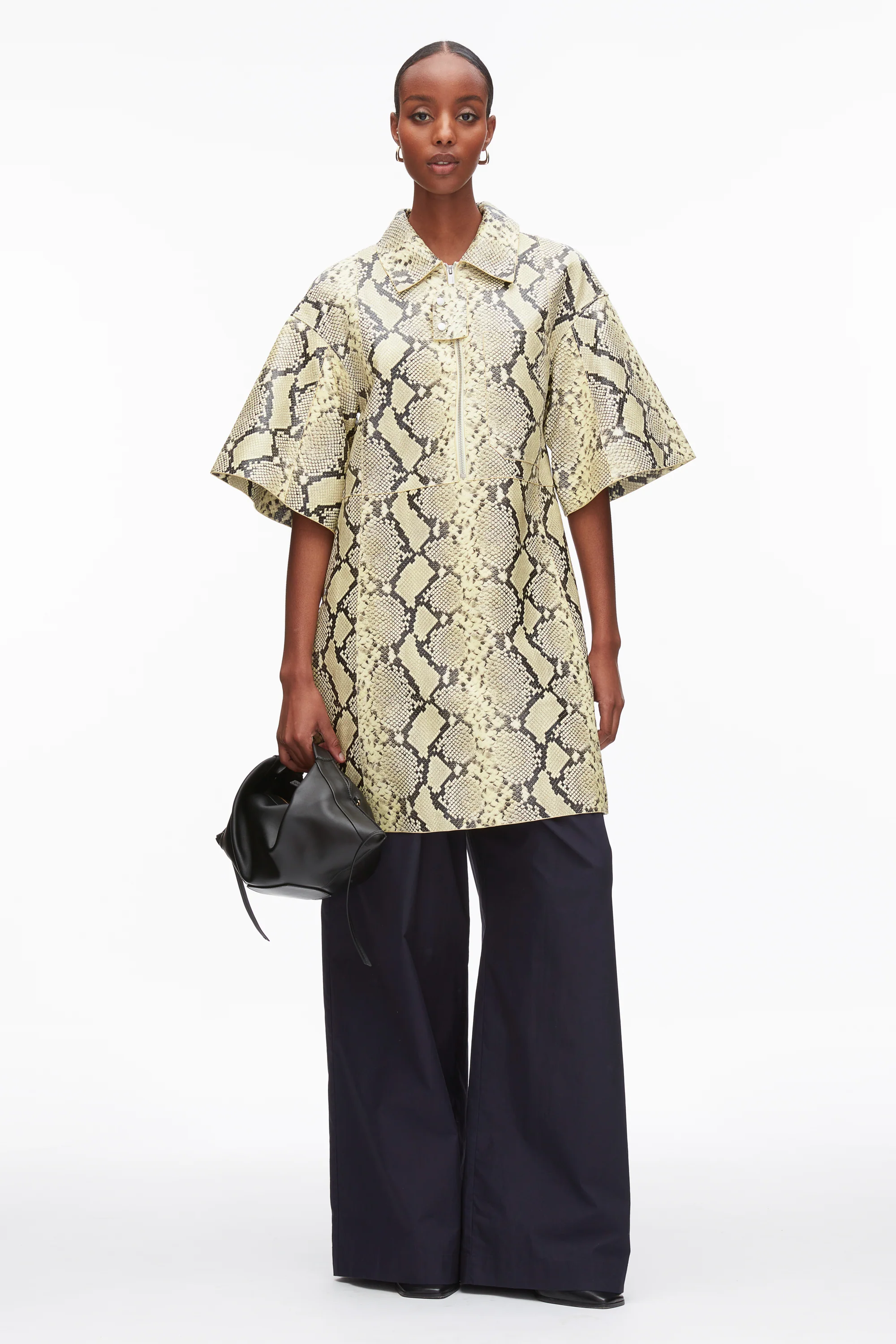 Shift Shirt Dress with Button Placket