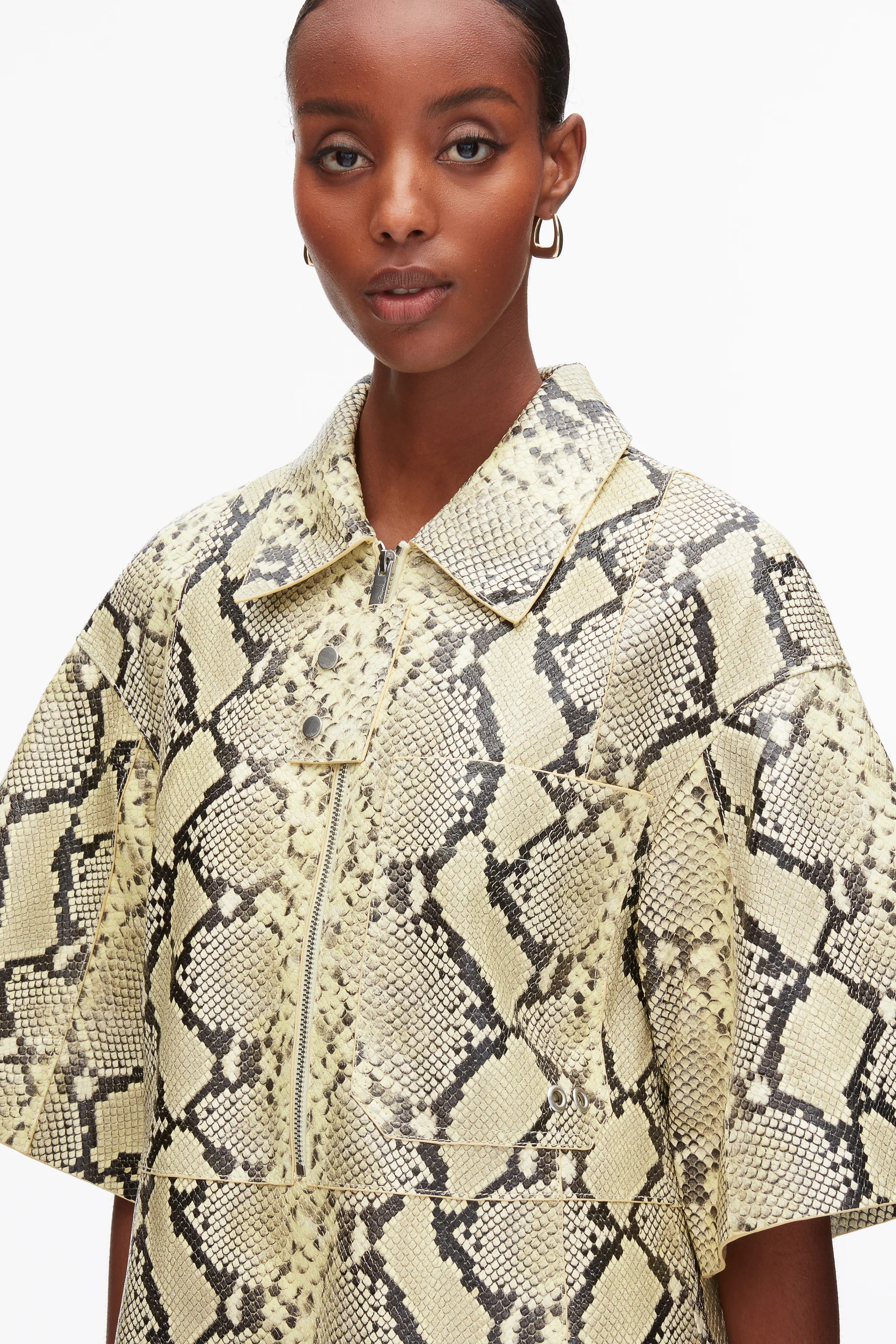 Shift Shirt Dress with Button Placket - Image 5