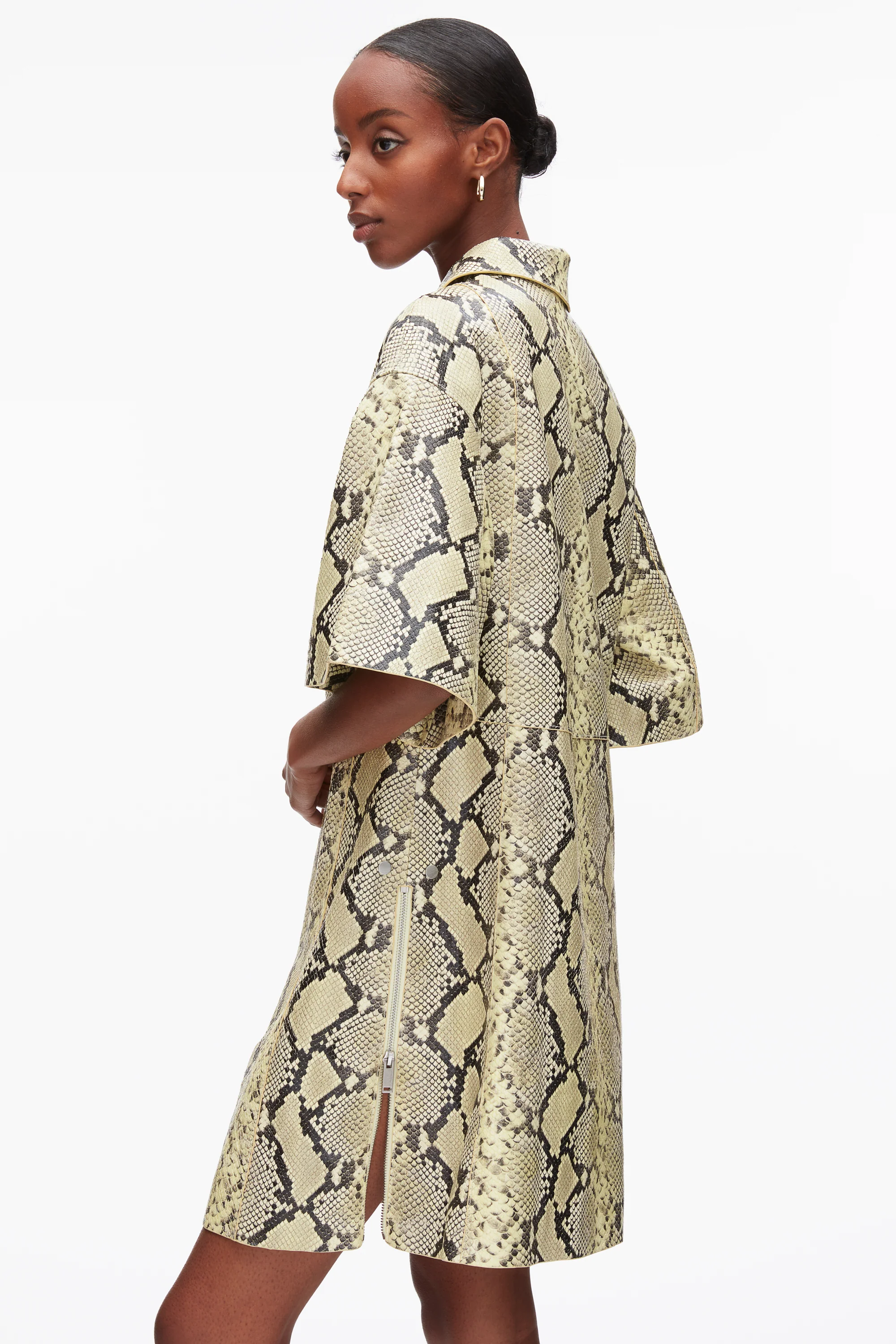 Shift Shirt Dress with Button Placket - Image 6